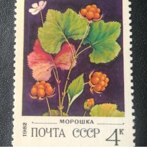  СССР 1982 Ягоды