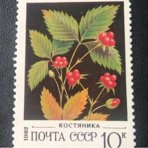  СССР 1982 Ягоды