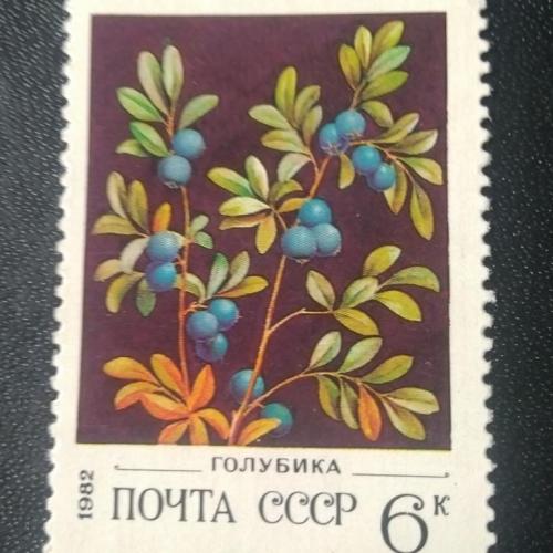  СССР 1982 Ягоды