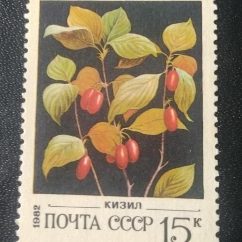  СССР 1982 Ягоды