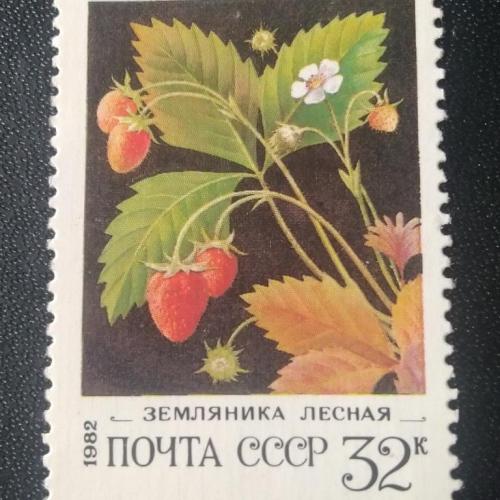  СССР 1982 Ягоды