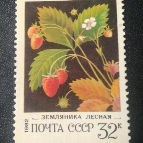  СССР 1982 Ягоды