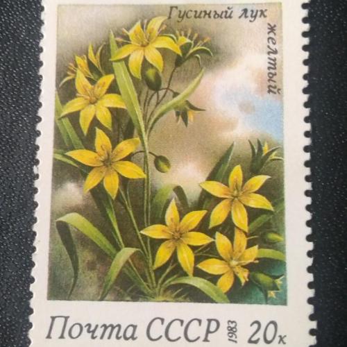 СССР 1983 Цветы 