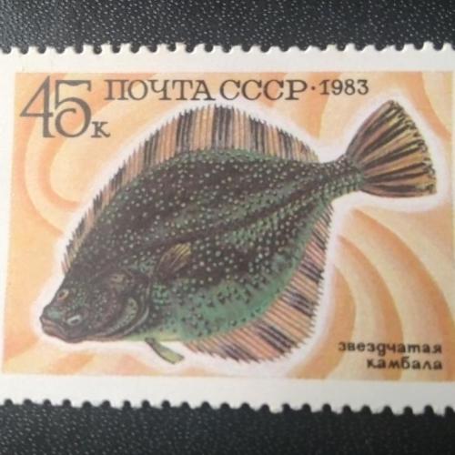 СССР 1983 Рыбы