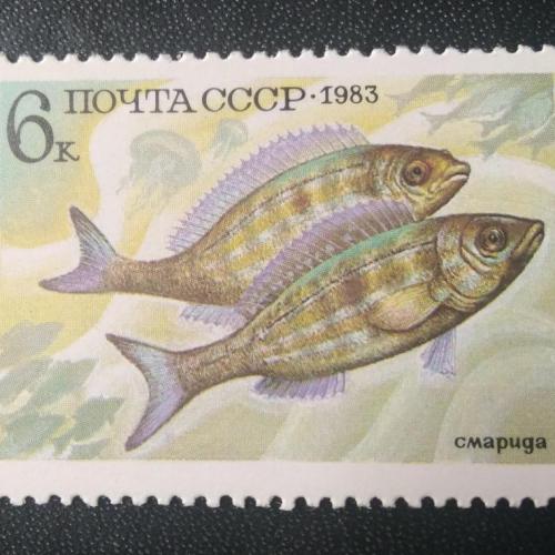 СССР 1983 Рыбы