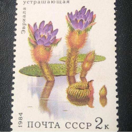 СССР 1984 Цветы