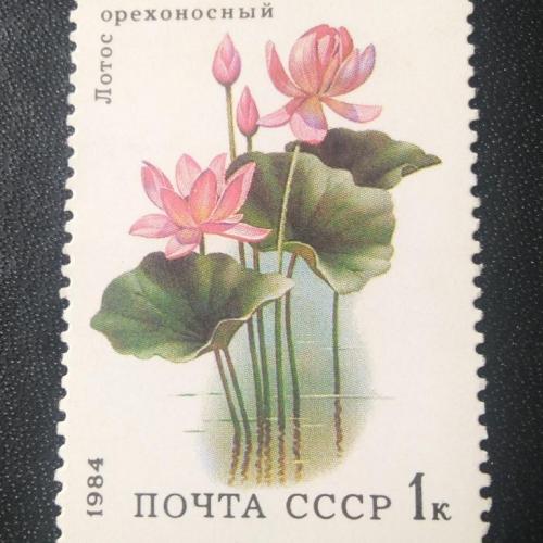 СССР 1984 Цветы