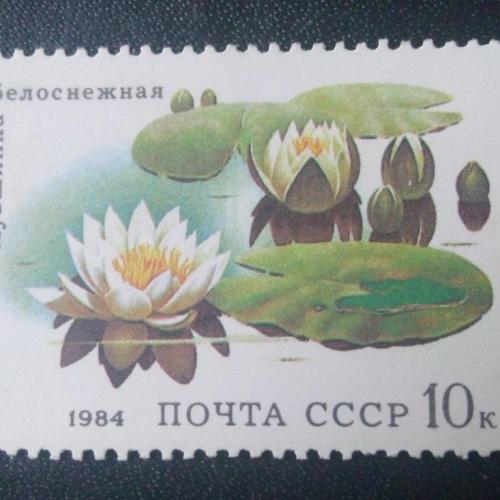 СССР 1984 Цветы