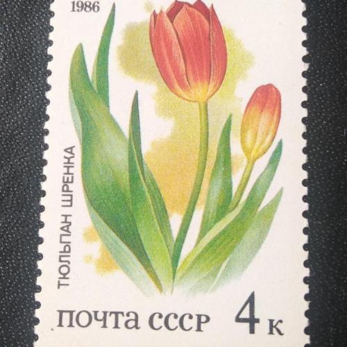 СССР 1986 Цветы 