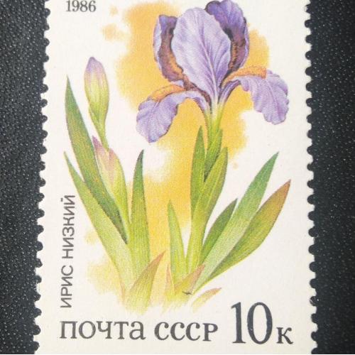 СССР 1986 Цветы 
