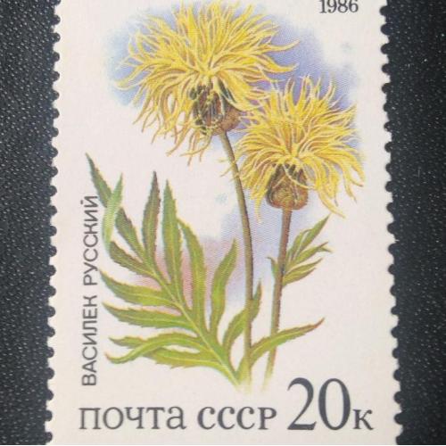 СССР 1986 Цветы 