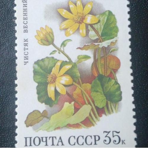 СССР 1988 Цветы