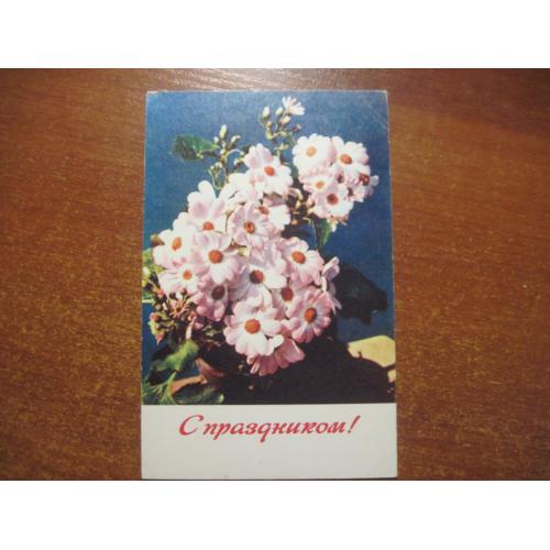квіти цветы  с праздником  1969 игнатович Планета  чистая**