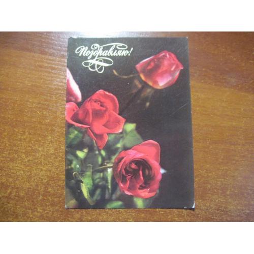 поздравляю цветы розы 1976 раскин комлев  ДМПК чистая