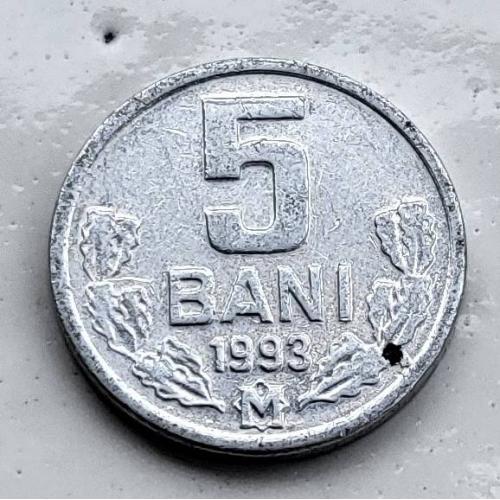 5 бани Молдова 1993