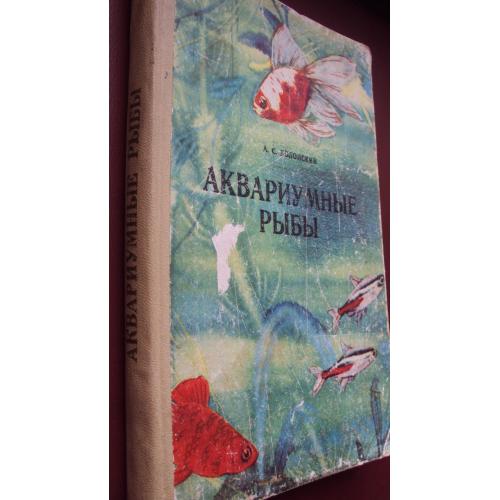 Аквариумные рыбы.