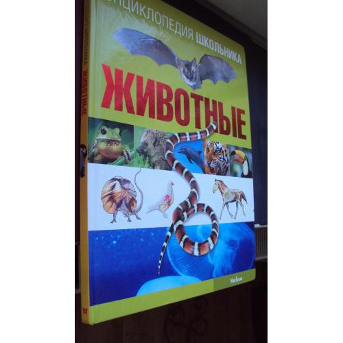 Животные. Энциклопедия школьника.