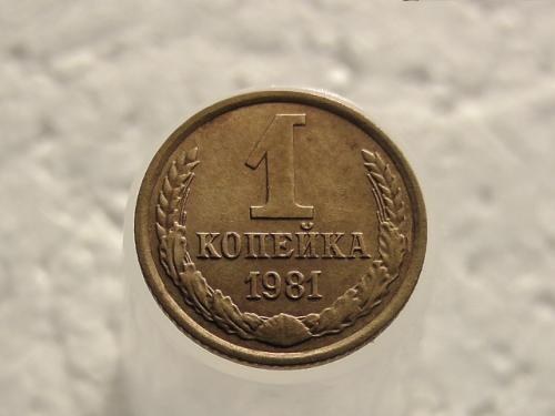  1 копійка СССР 1981 рік (204)