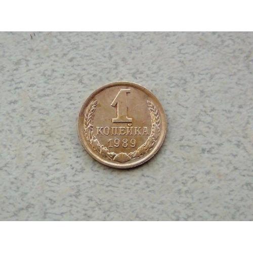  1 копійка СРСР 1989 рік (320а)
