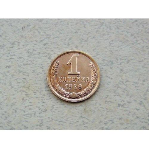  1 копійка СРСР 1989 рік (322а)