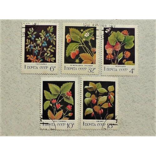  Серія поштових марок СССР " Флора " 1982 рік 