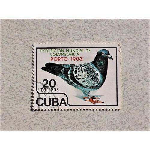  Поштова марка Куба " Фауна " 1985 рік