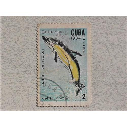  Поштова марка Куба " Фауна " 1984 рік