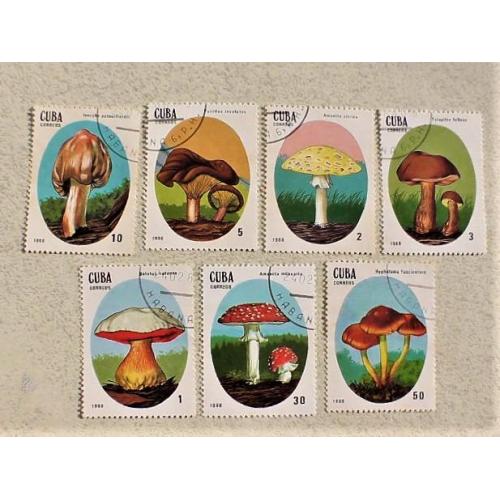  Серія поштових марок Куба " Гриби " 1988 рік