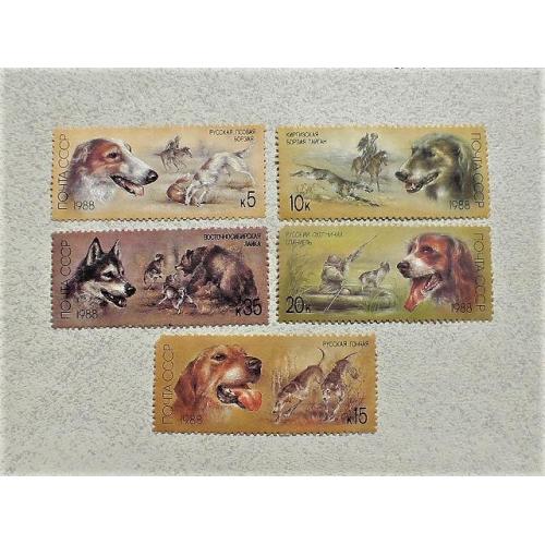  Серія поштових марок СССР " Мисливські Собаки " 1988 рік