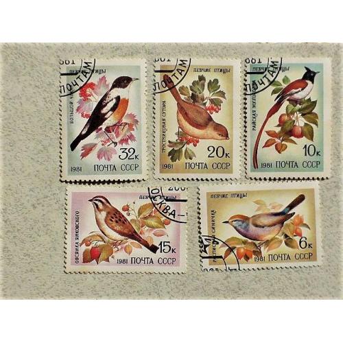  Серія марок СССР " Співочі птахи " 1981 рік