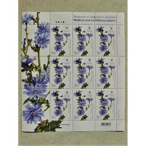 Поштовий аркуш марок " Цикорій дикий. Лікарські та медоносні рослини "