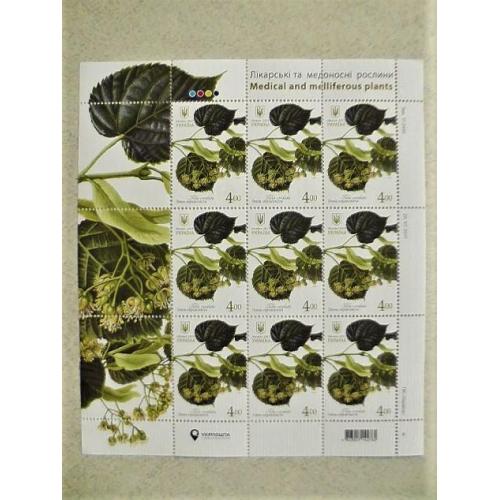  Поштовий аркуш марок " Липа серцелиста. Лікарські та медоносні рослини "