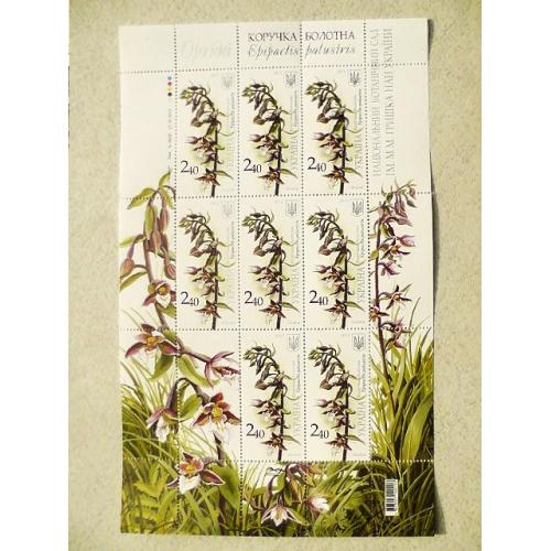  Поштовий аркуш марок " Орхідеї. Коручка болотна "
