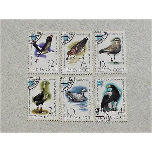  Серія поштових марок СССР " Фауна Птахи " 1982 рік