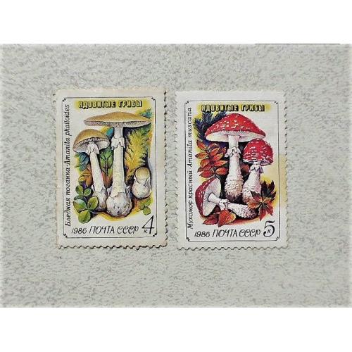  Серія поштових марок СССР " Отруйні гриби " 1986 рік