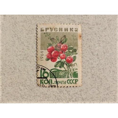  Поштова марка СССР " Флора " 1964 рік 