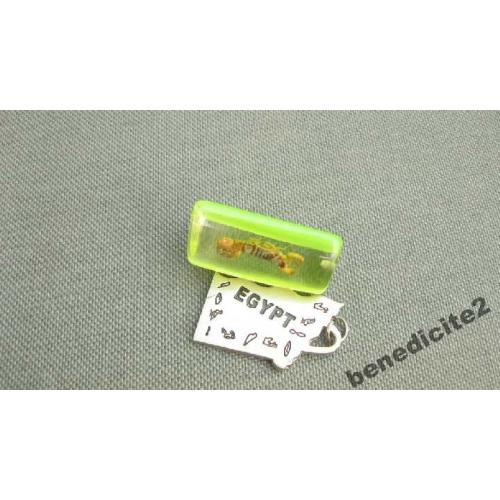 Скорпион настоящий кулон