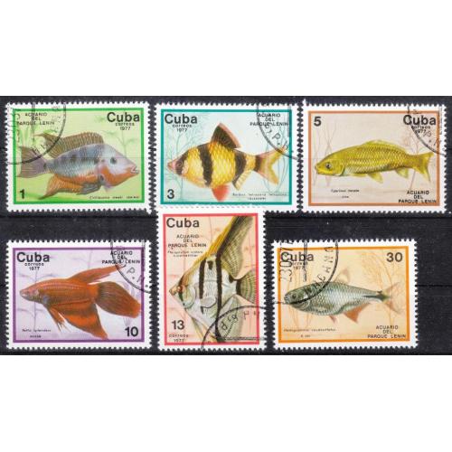 Куба 1977 № 2202-2207 Рыбы