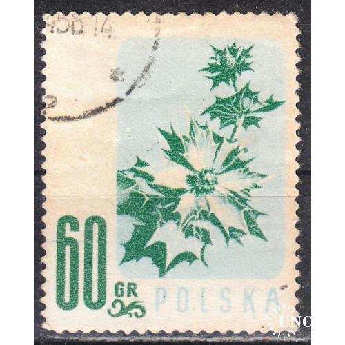 Польша 1957 №1021 Охраняемые цветы