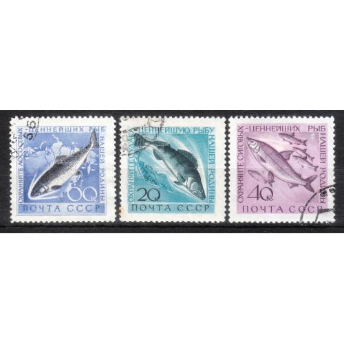 СССР 1959, 1960 № 2247, 2382, 2384 Рыбы