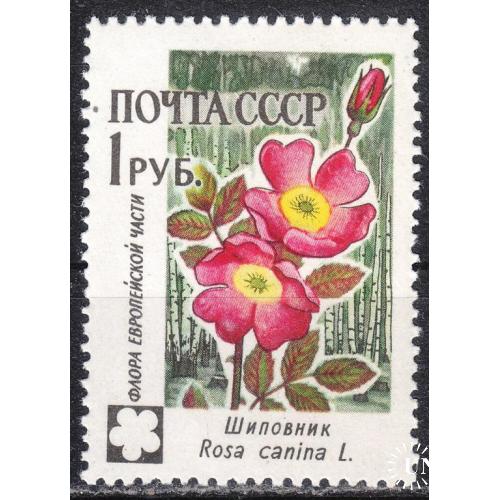 СССР 1960 №2416 Шиповник