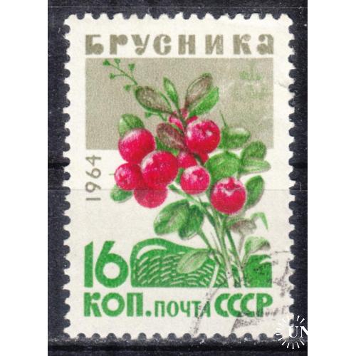 СССР 1964 №3052 Брусника
