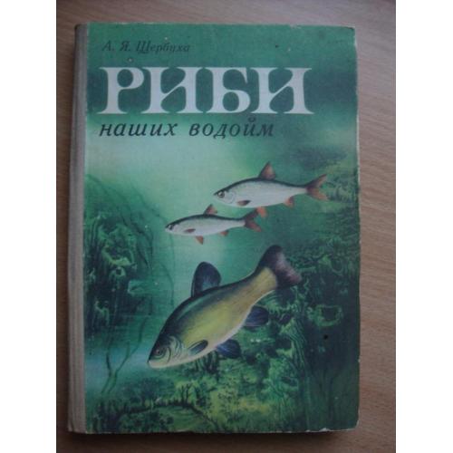 Риби наших водойм