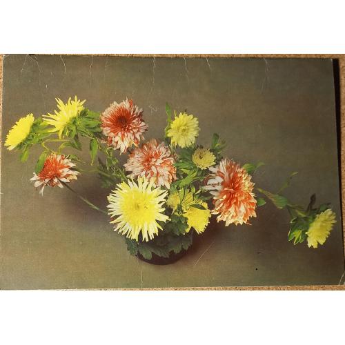 Двойная фотооткрытка. Композиция из цветов. Фото Е.  Савалова. 1986 г.  Неформат 200 х 140 мм.