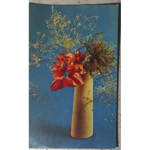 Фото-открытка. Композиция из цветов.   Фото Е. Игнатович. 1969 г.