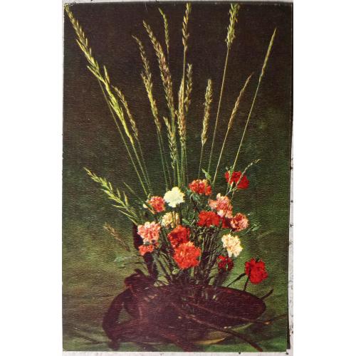 Фото-открытка.  Композиция из цветов.  Фото В. Тужикова.  1977 г.