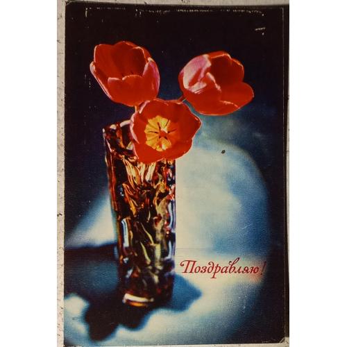 Фото-открытка. Поздравляю! Фото Е. Савалова. 1971 г. 