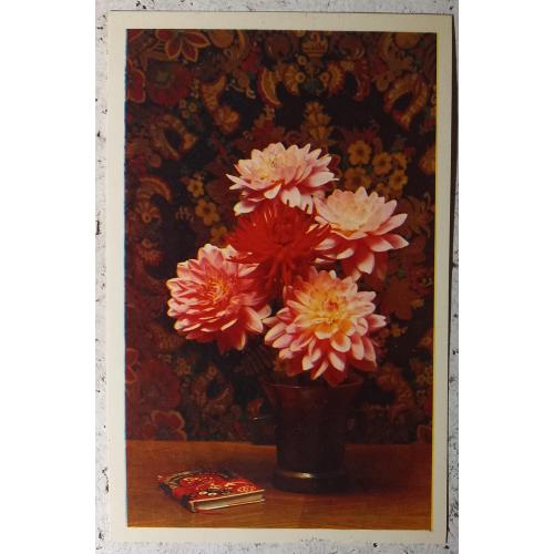 Фото-открытка. Поздравляю! Композиция и фото. Э. Стейнерта. 1977 г.  