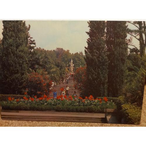 Фото-открытка. Сочи. Дендрарий. Фото В. Панова. 1983 г.