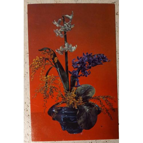 Фотокомпозиція. Автор Н. Мінченко. . Фото Р. Якименко. 1977г. Київ.